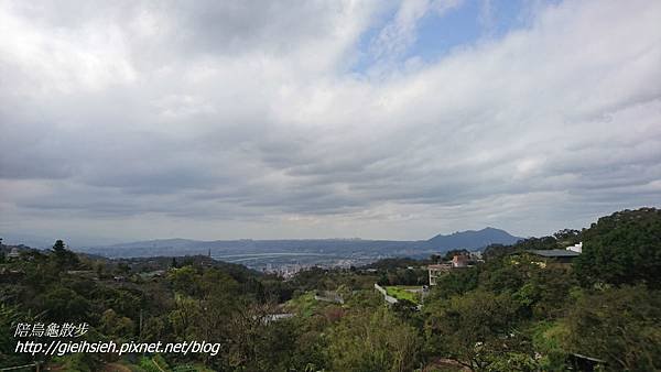 【陪烏龜散步】20170212 賞櫻 風尾步道、十八份水圳步道、東昇步道-十八份產業道路