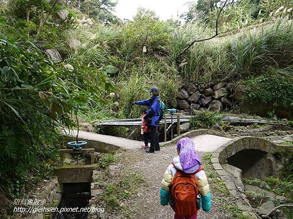 【陪烏龜散步】20170212 賞櫻 十八挖水圳步道