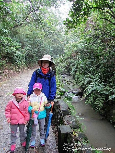 【陪烏龜散步】20170326 漫走虎山溪步道