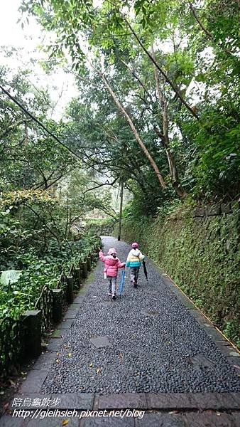 【陪烏龜散步】20170326 漫走虎山溪步道