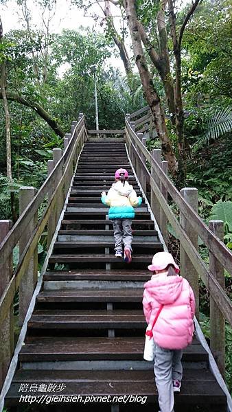 【陪烏龜散步】20170326 漫走虎山溪步道