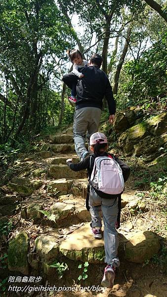 【陪烏龜散步】20170408 景美 仙跡岩親山步道