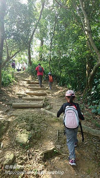 【陪烏龜散步】20170408 景美 仙跡岩親山步道