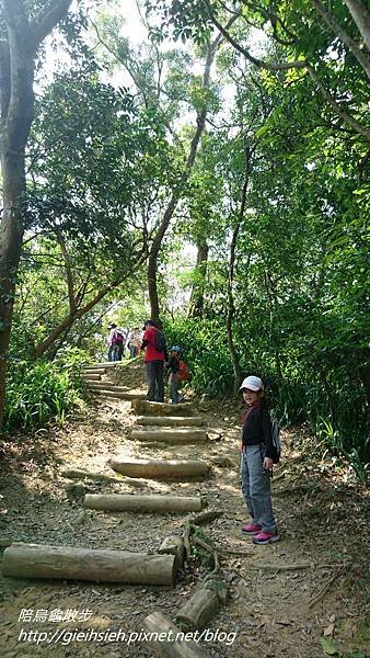 【陪烏龜散步】20170408 景美 仙跡岩親山步道