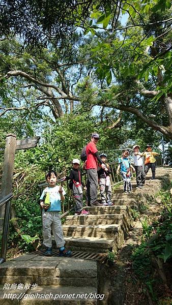 【陪烏龜散步】20170408 景美 仙跡岩親山步道