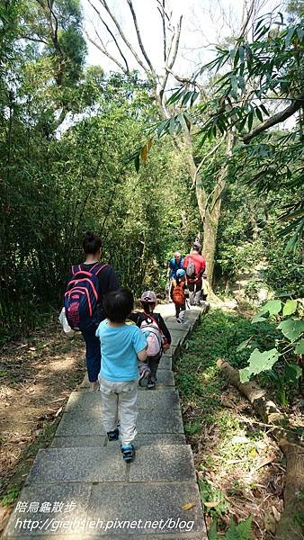 【陪烏龜散步】20170408 景美 仙跡岩親山步道