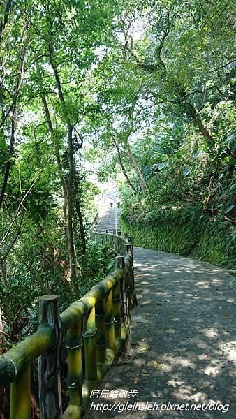 【陪烏龜散步】20170408 景美 仙跡岩親山步道