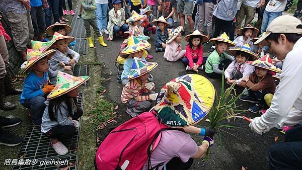 【陪烏龜散步】20170708 收割暨幼兒園畢業典禮