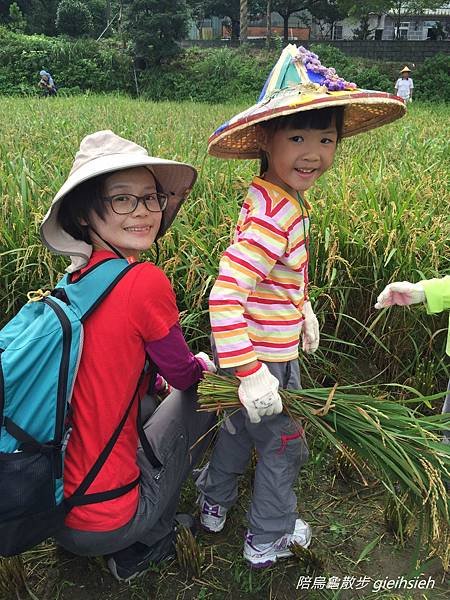 【陪烏龜散步】20170708 收割暨幼兒園畢業典禮