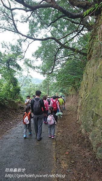 【陪烏龜散步】20171028 樂活山林 長青健行登山活動