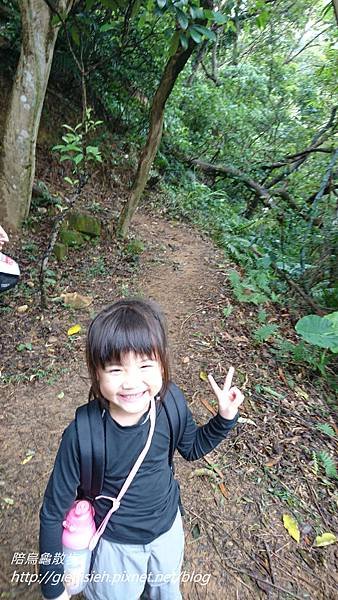 【陪烏龜散步】20171028 樂活山林 長青健行登山活動