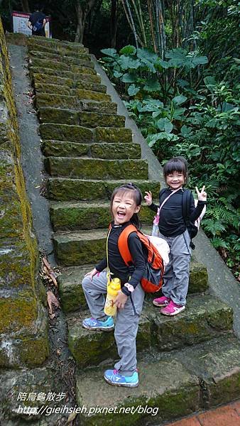 【陪烏龜散步】20171028 樂活山林 長青健行登山活動