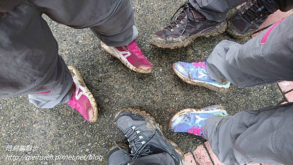 【陪烏龜散步】20171028 樂活山林 長青健行登山活動