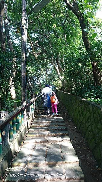 【陪烏龜散步】20171210 劍潭山親山步道 圓山7號