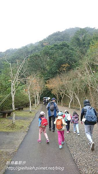 【陪烏龜散步】20171230 滿月圓國家森林遊樂區