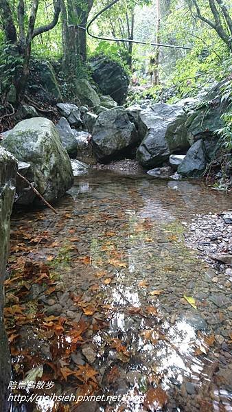 【陪烏龜散步】20171230 滿月圓國家森林遊樂區