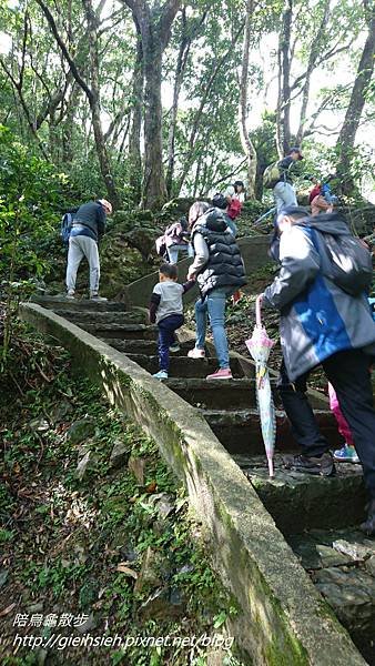 【陪烏龜散步】20171230 滿月圓國家森林遊樂區