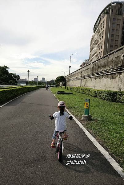 【陪烏龜散步】20181110 新店溪河濱自行車道 公館景福站騎單車往返【陪烏龜散步】20181110 新店溪河濱自行車道 公館-大稻埕 騎單車趣