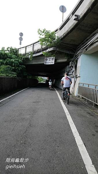 【陪烏龜散步】20181110 新店溪河濱自行車道 公館景福站騎單車往返【陪烏龜散步】20181110 新店溪河濱自行車道 公館-大稻埕 騎單車趣