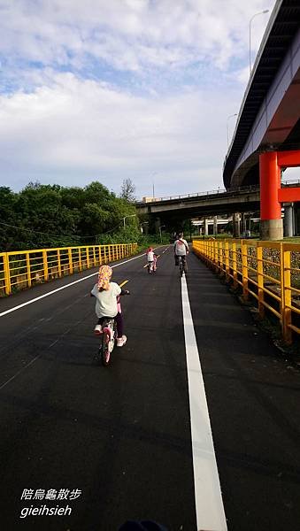 【陪烏龜散步】20181110 新店溪河濱自行車道 公館景福站騎單車往返【陪烏龜散步】20181110 新店溪河濱自行車道 公館-大稻埕 騎單車趣