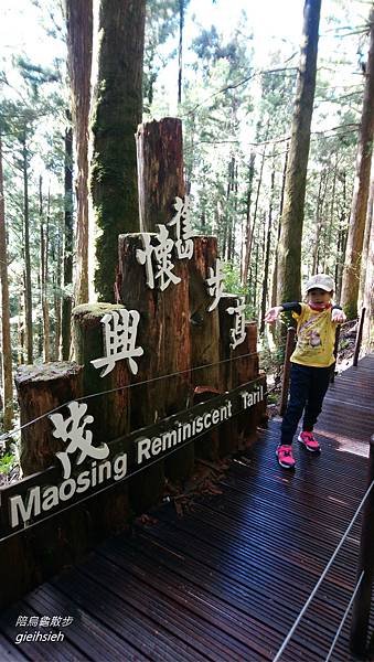 【陪烏龜散步】20181117 太平山莊搭蹦蹦車~茂興懷舊步道健行