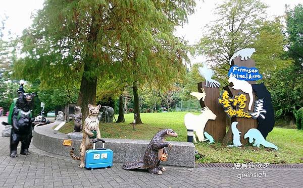 【陪烏龜散步】201911木柵動物園穿山甲館