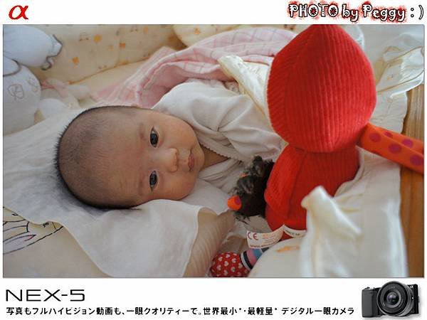 DSC03728.jpg
