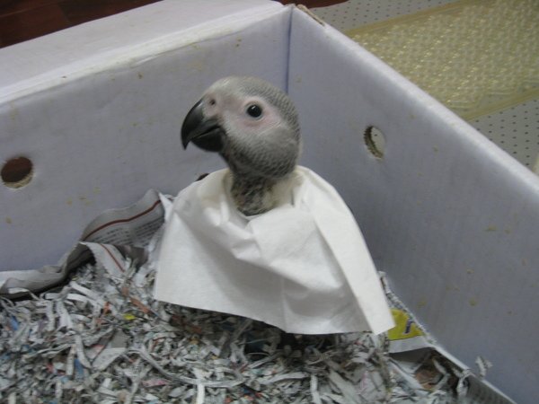 準備用餐!.JPG