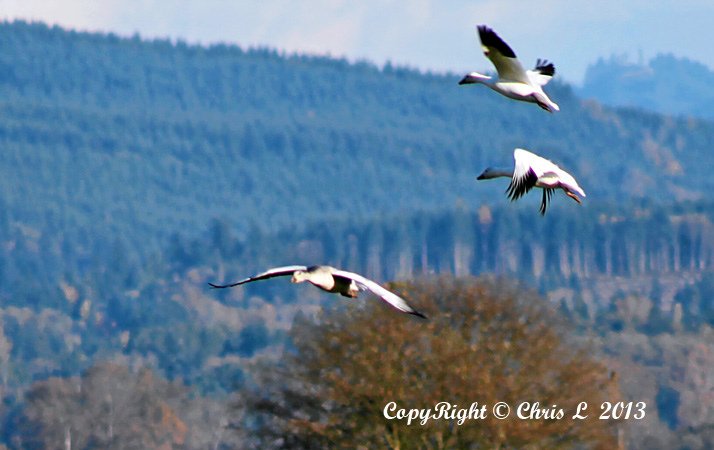 IMG_7886.jpg