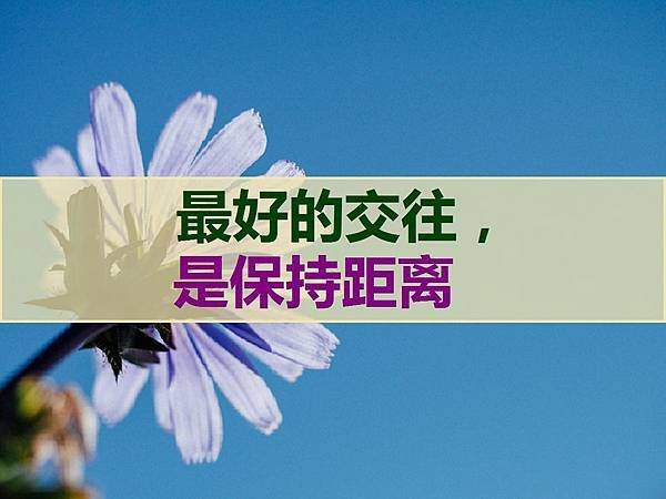 最好的交往是保持距离