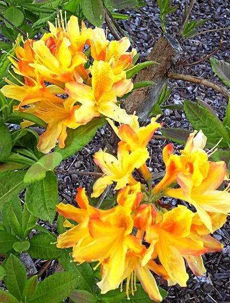 2018-5-028.jpg