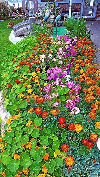 2018-8-218.jpg