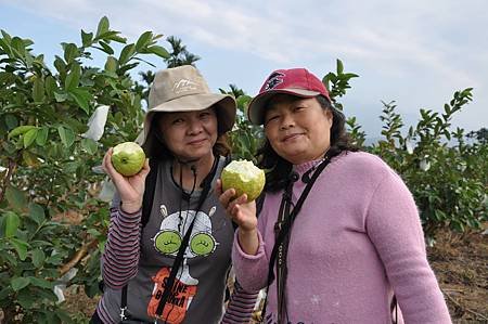 集集親子賞花採果樂逍遙活動照 (137)