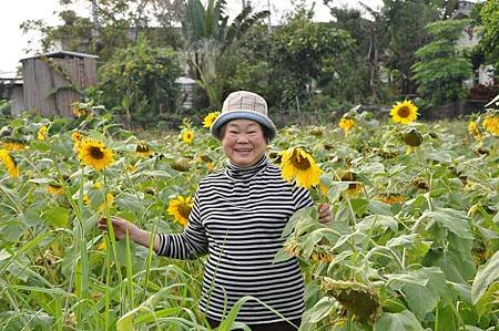 集集親子賞花採果樂逍遙活動照 (146)