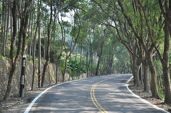 集集綠色隧道