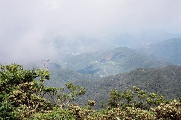 雲卷雲舒，去留無意