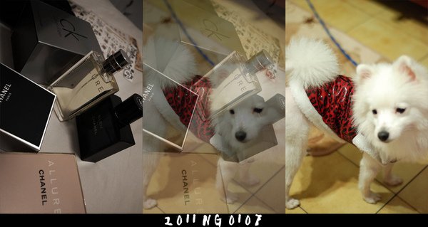 20110107-b.jpg