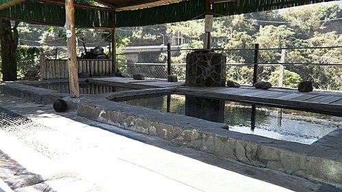 dp14.jpg