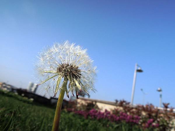DSCN0408.JPG