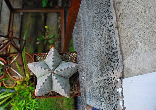 DSC_8266.jpg