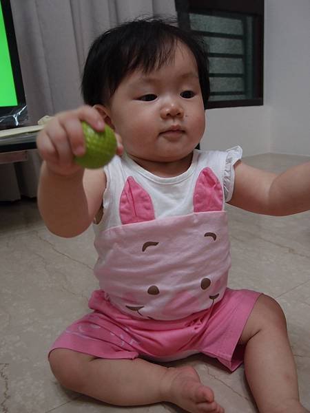 P8204400.jpg