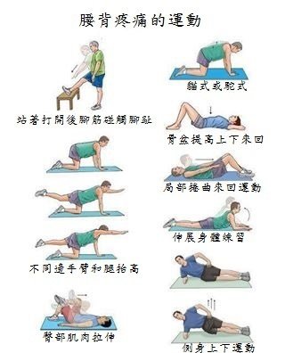 下背疼痛的練習low back pain exercises