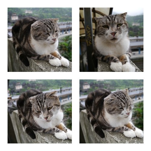 20120411-3Y8M平溪-3
