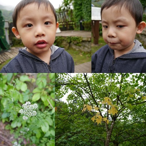 20120411-3Y8M平溪-31