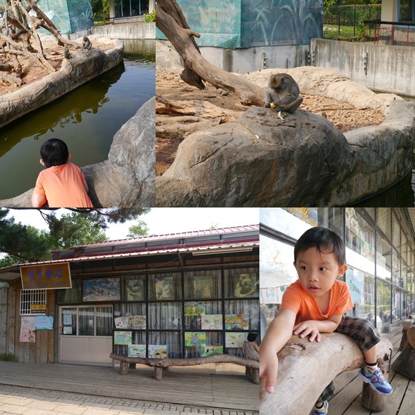 20121021-4Y2M-新竹動物園3