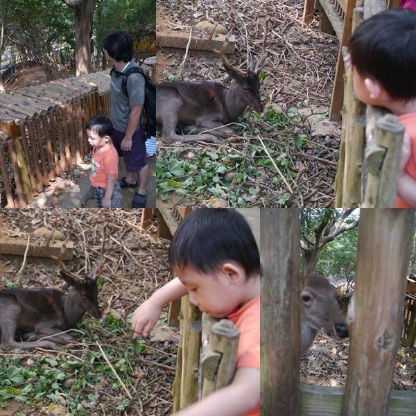 20121021-4Y2M-新竹動物園6