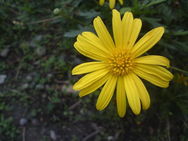 DSC00061.JPG