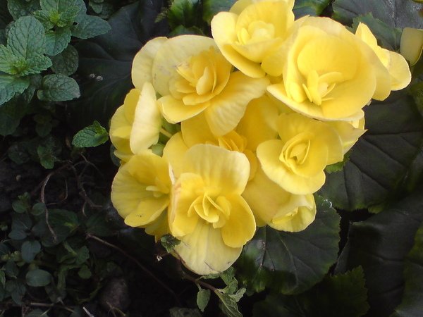 DSC00070.JPG