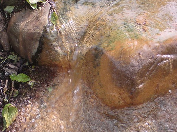 DSC00074.JPG