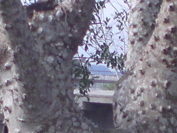 DSC00077.JPG